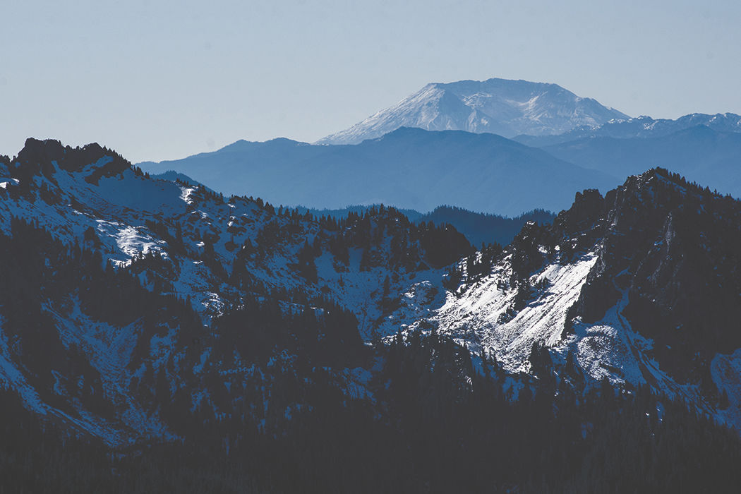 Photos: From Paradise in Mount Rainier National Park